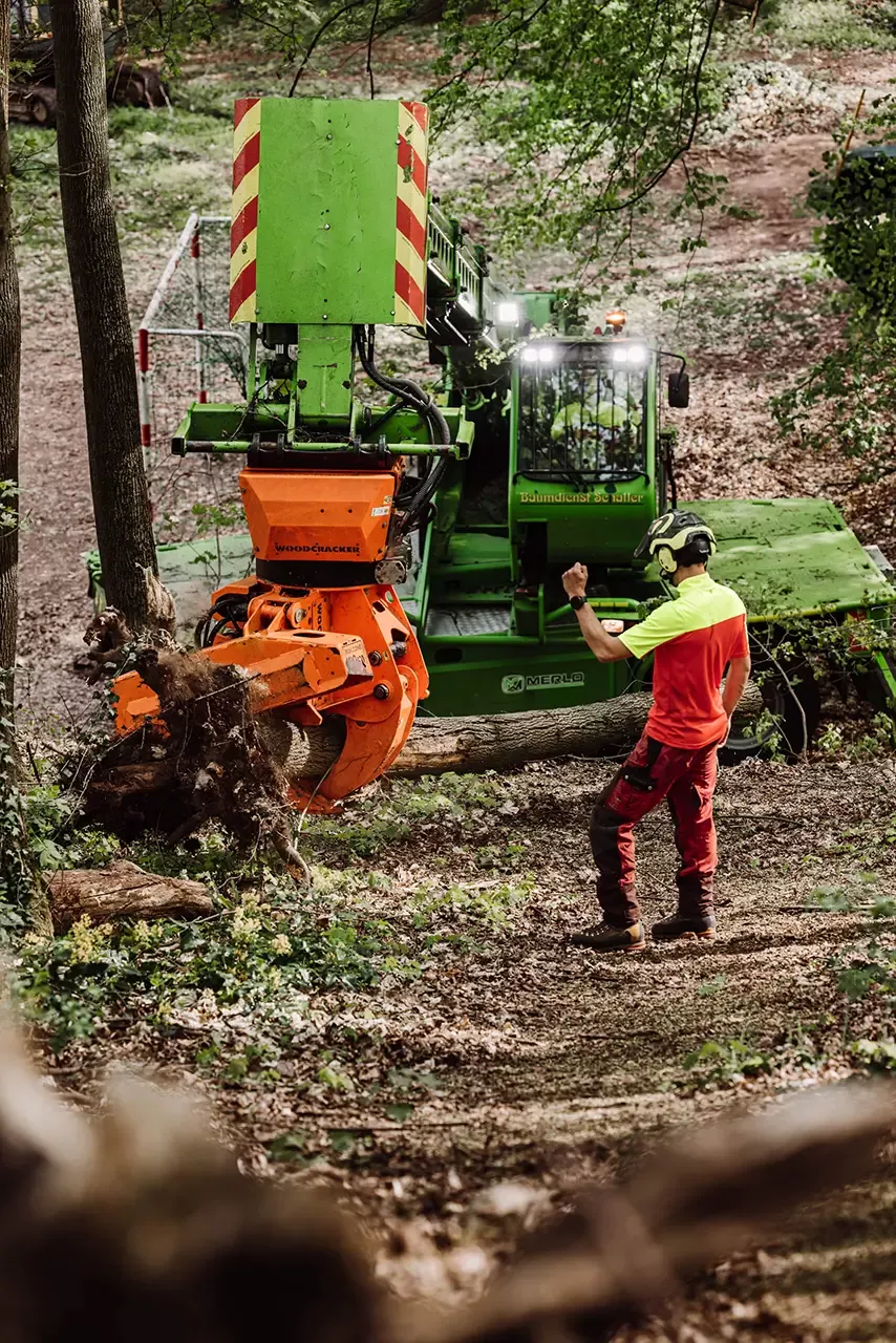 Ein Arbeiter in Schutzkleidung steht auf einem Waldweg und steuert eine große grüne Forstmaschine mit einem orangefarbenen Klauenaufsatz, die einen umgestürzten Baum greift.