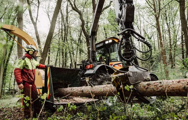 Ein Arbeiter in Schutzkleidung steht an einer Holzhackmaschine, in die eine große Maschine einen umgestürzten Baumstamm in einem von hohen Bäumen und Grünpflanzen umgebenen Wald einführt.