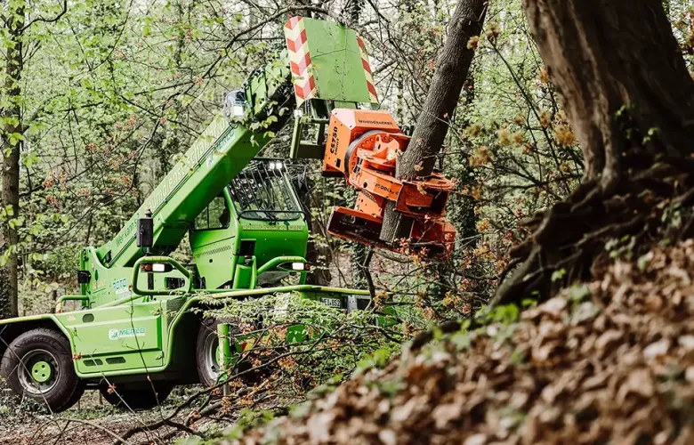 Eine grüne Forstmaschine mit orangefarbenem Anbaugerät greift und fällt einen Baum auf einem schrägen Waldboden, der von dichten, belaubten Bäumen umgeben ist.