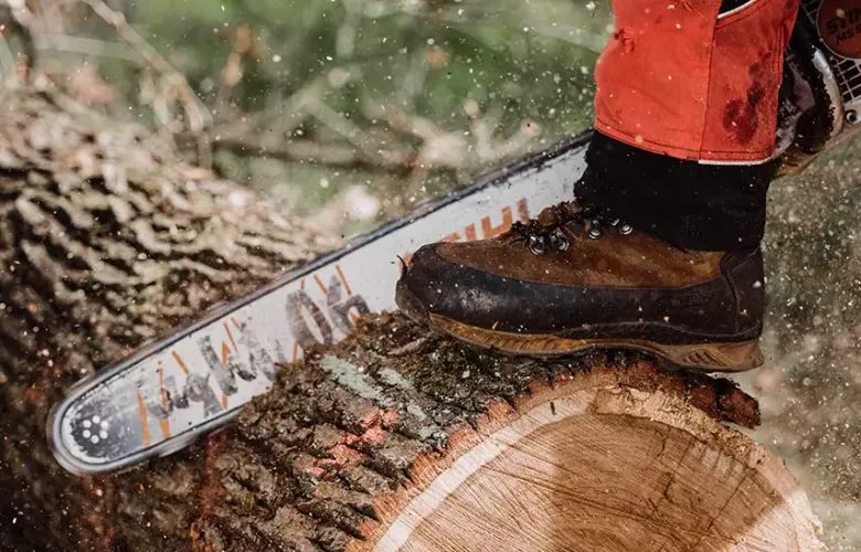 Eine Person in Schutzkleidung sägt mit einer Kettensäge einen großen Baumstamm, wobei sie einen Stiefel auf den Stamm stellt, um ihn zu stabilisieren. Holzspäne und Sägemehl sind in der Luft zu sehen.