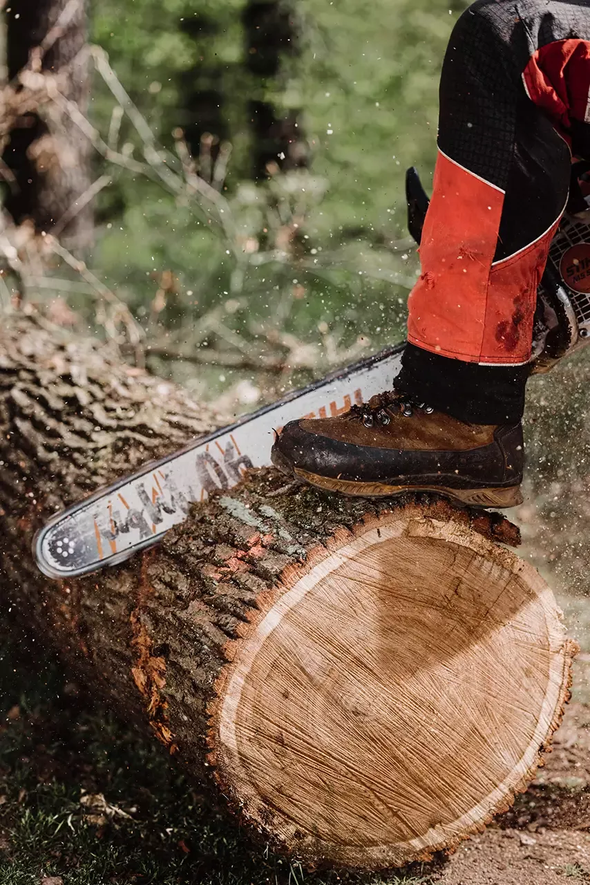 Eine Person in Schutzkleidung sägt mit einer Kettensäge einen großen Baumstamm, wobei sie einen Stiefel auf den Stamm stellt, um ihn zu stabilisieren. Holzspäne und Sägemehl sind in der Luft zu sehen.