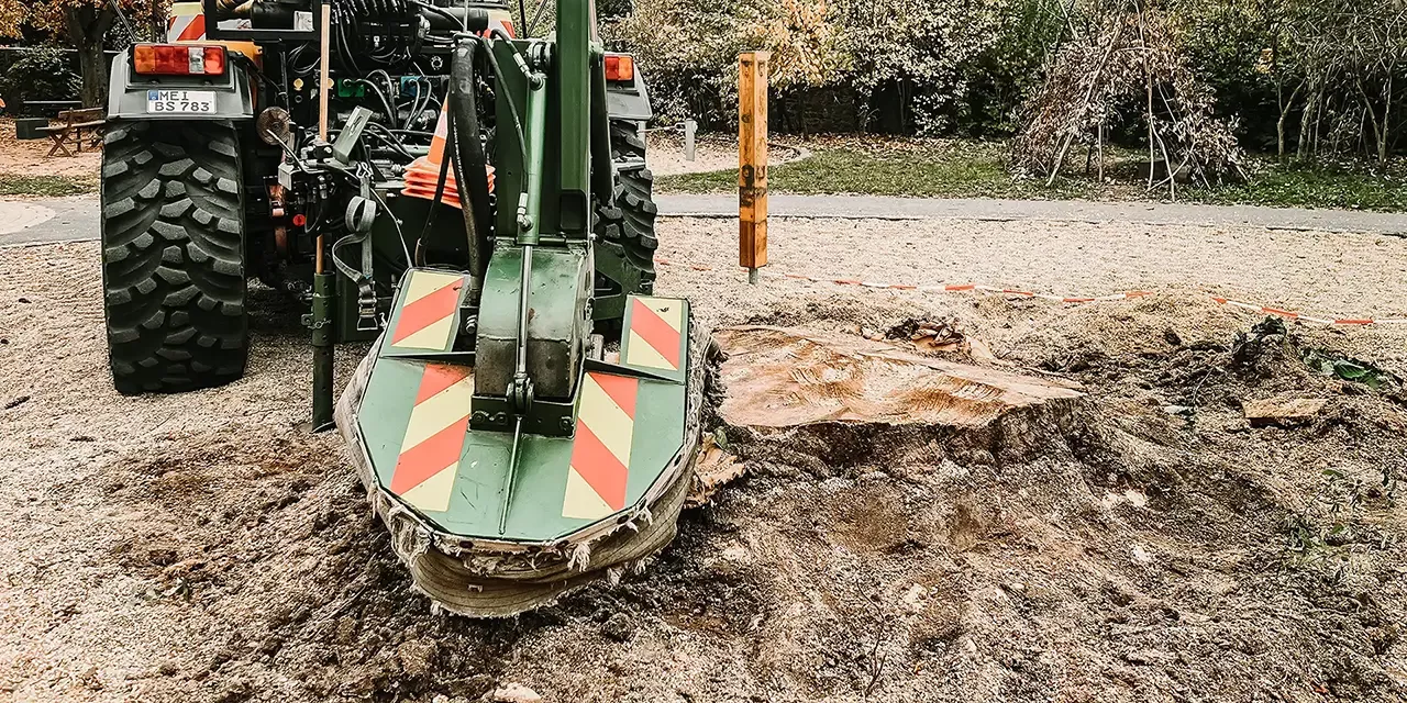 Eine an einen Traktor angebaute Stubbenfräse steht neben einem großen Baumstumpf und zerkleinert ihn in einem mit Holzspänen bedeckten und von Bäumen umgebenen Außenbereich.