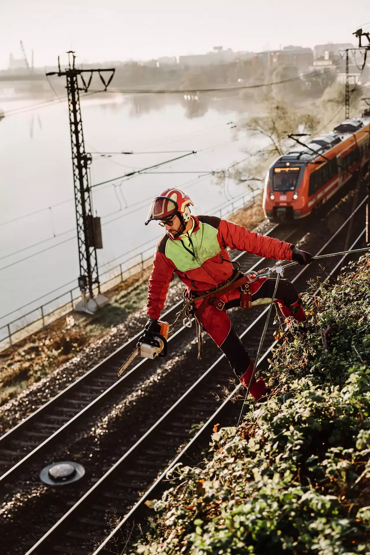 Ein Arbeiter in Schutzausrüstung arbeitet mit einer Kettensäge, während er an Seilen an einem Hang oberhalb von Bahngleisen aufgehängt ist, während sich im Hintergrund ein roter Zug in der Nähe eines Flusses nähert.