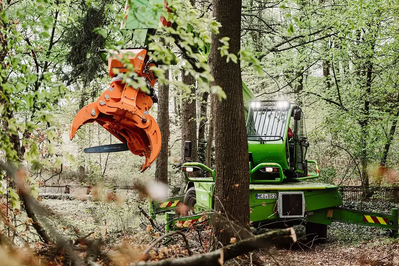 Eine grüne Forstmaschine mit einem orangefarbenen Baumschneidegerät arbeitet zwischen hohen Bäumen in einem dichten, belaubten Wald. Das Sonnenlicht dringt durch das Blätterdach und beleuchtet die Maschine und die frischen Äste.