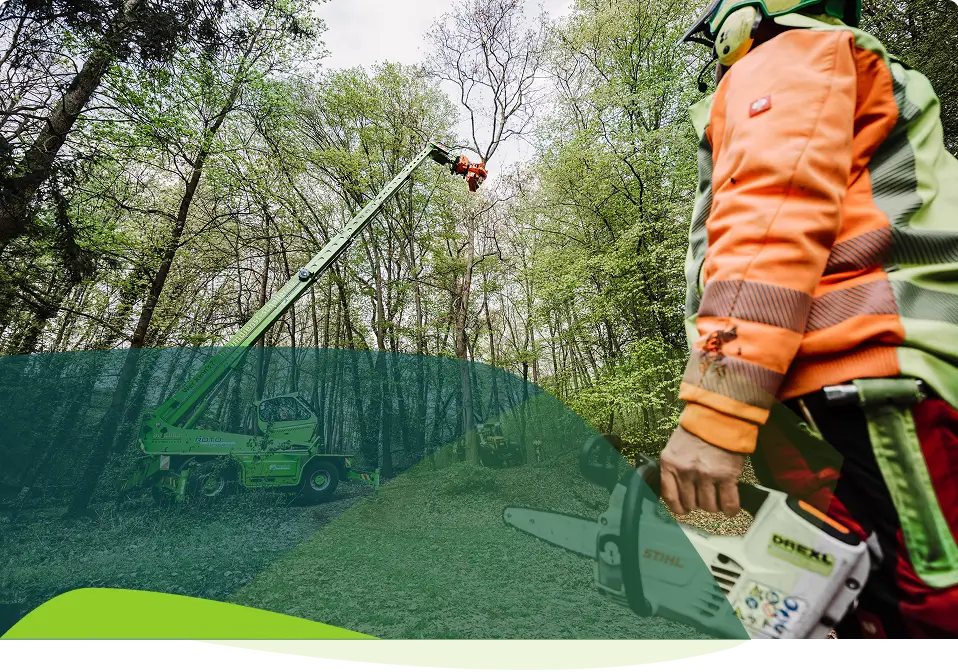 Ein Arbeiter in Schutzkleidung hält eine Kettensäge und beobachtet einen anderen Arbeiter, der hoch oben in einem Hubsteiger Bäume in einem Waldgebiet beschneidet.