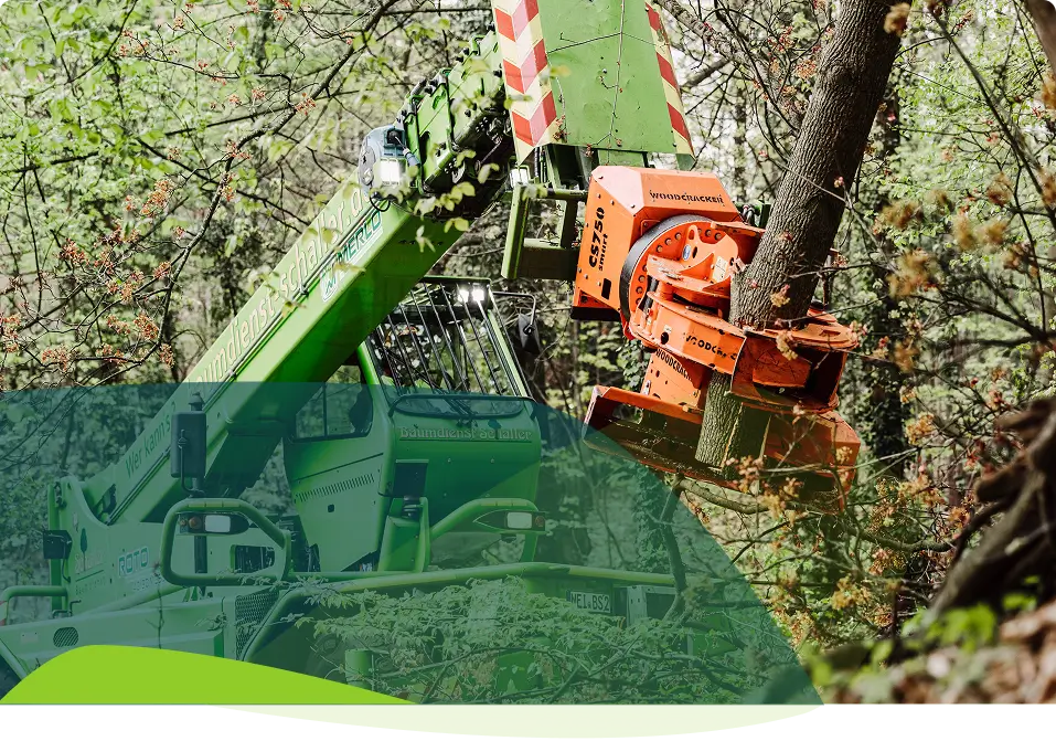 Eine grüne Forstmaschine mit einem orangefarbenen Anbaugerät fällt einen Baum in einem dichten, belaubten Wald. Äste und Blätter umgeben die Maschine, während sie den Baumstamm packt und durchsägt.