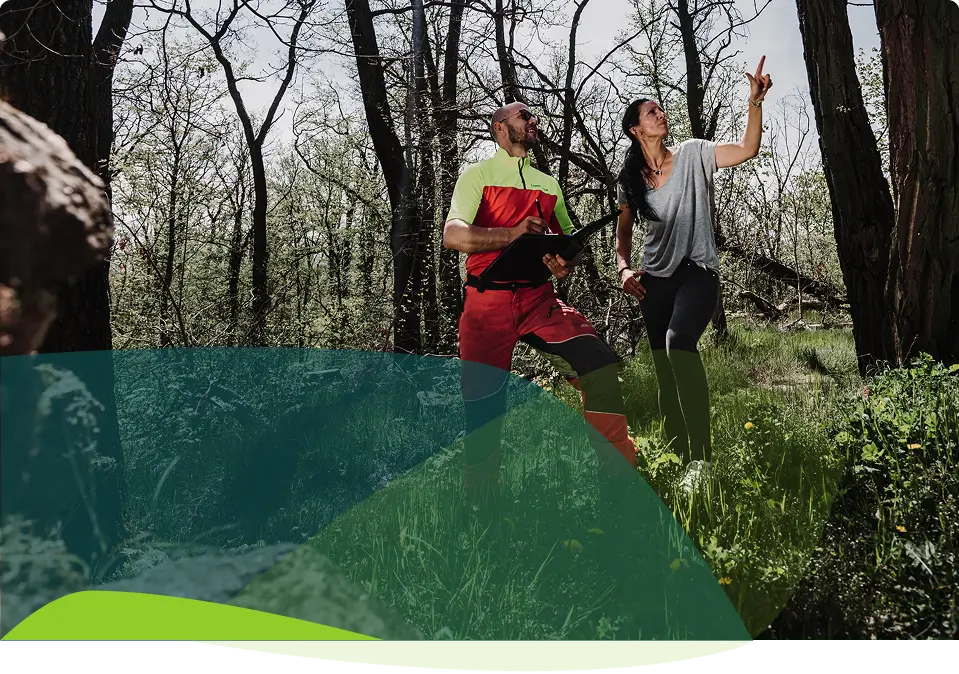 Zwei Personen stehen in einem sonnenbeschienenen Wald, eine von ihnen hält eine Tafel oder Karte. Die Frau zeigt nach oben, während sie in die gleiche Richtung blicken, umgeben von hohen Bäumen und Gras, mit einer halbtransparenten Farbüberlagerung am unteren Rand des Bildes.