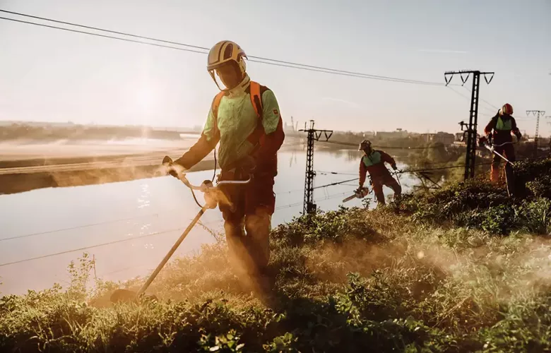 Drei Arbeiter in Schutzkleidung schneiden mit Trimmern das Gras an einem Hang in der Nähe eines Flusses und von Bahngleisen, wobei das Sonnenlicht am frühen Morgen oder späten Nachmittag einen dunstigen Effekt erzeugt.